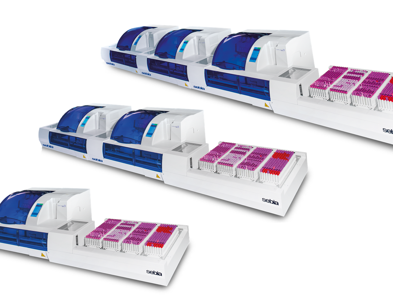 Sebia Capillarys 3 Tera MC1 MC2 MC3