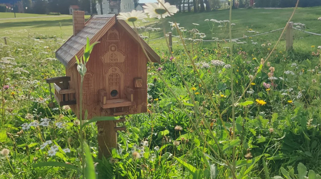 Biebolig i pollinatorpark