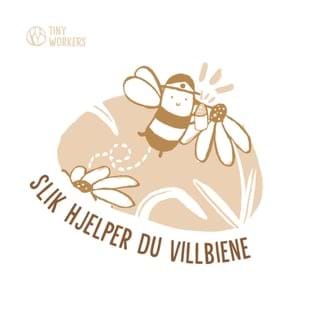 Slik hjelper du villbiene