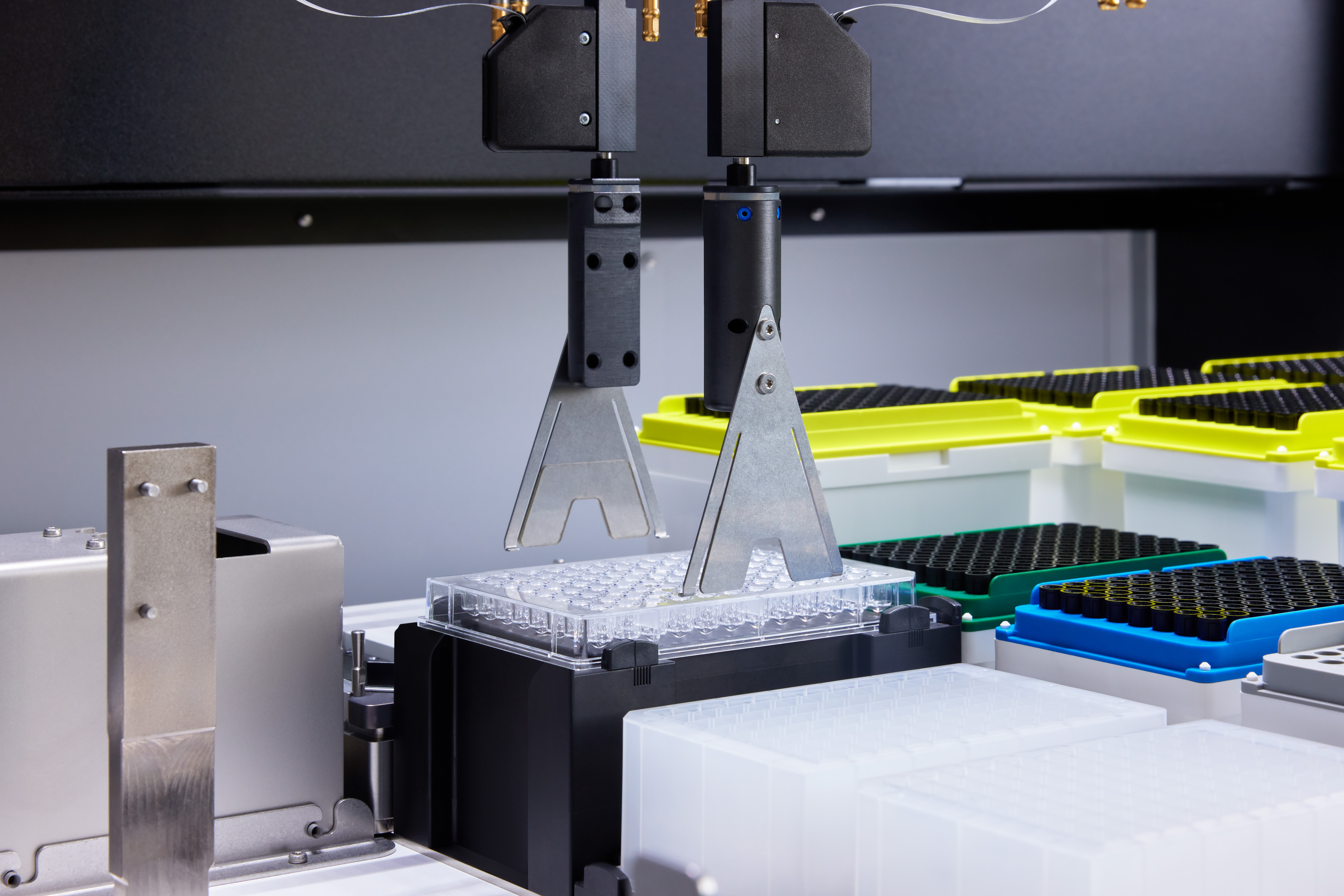 Bilde uten beskrivelse