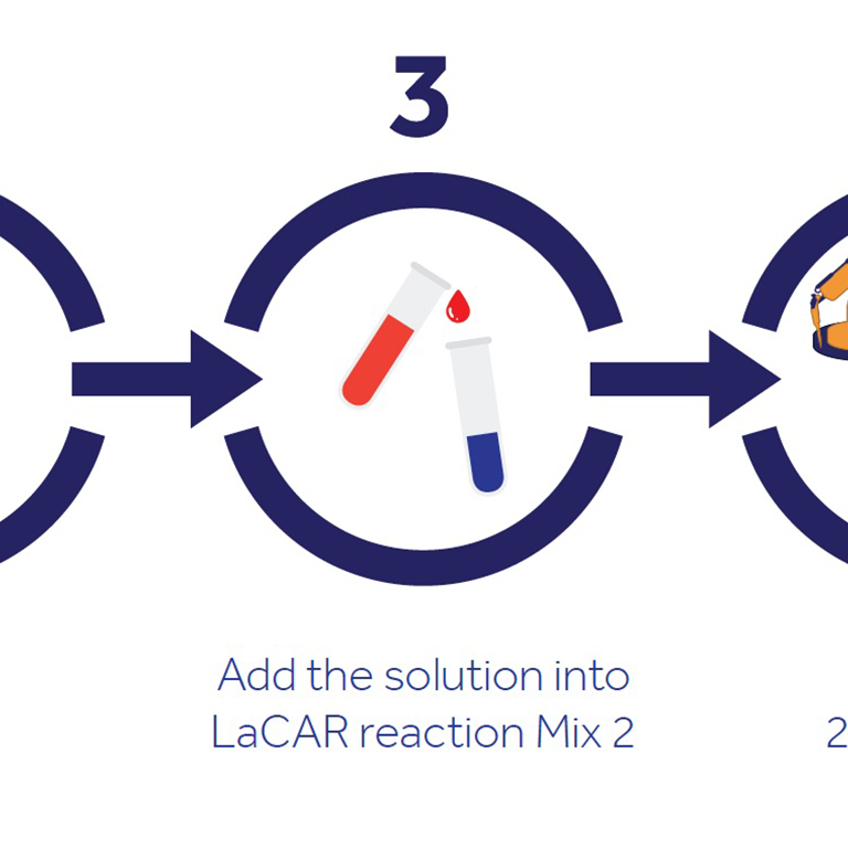 LAMP detection kit (1)