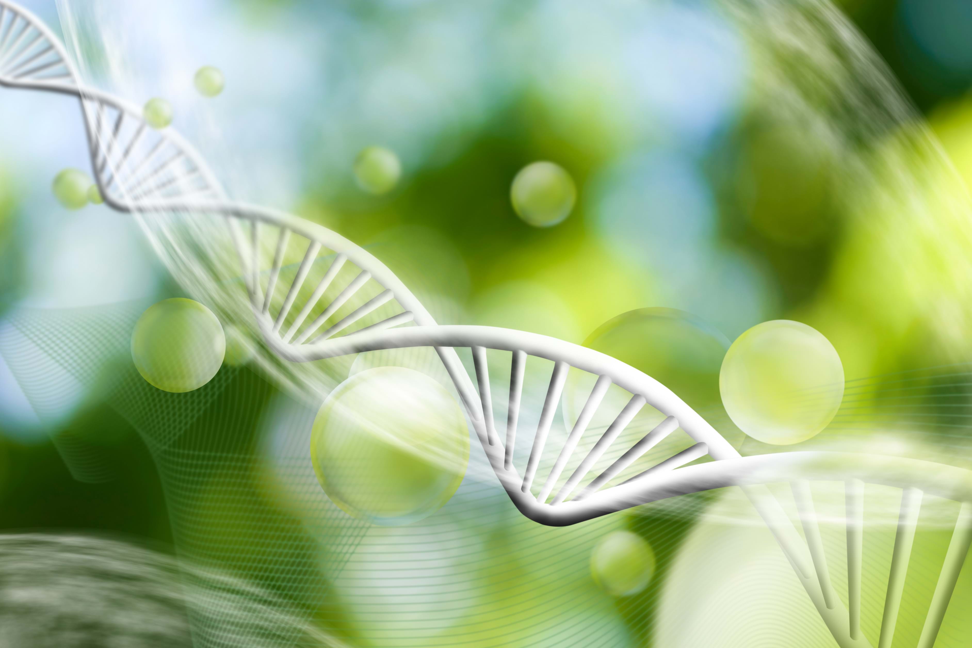 Molekylær diagnostikk