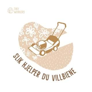 Slik hjelper du villbiene