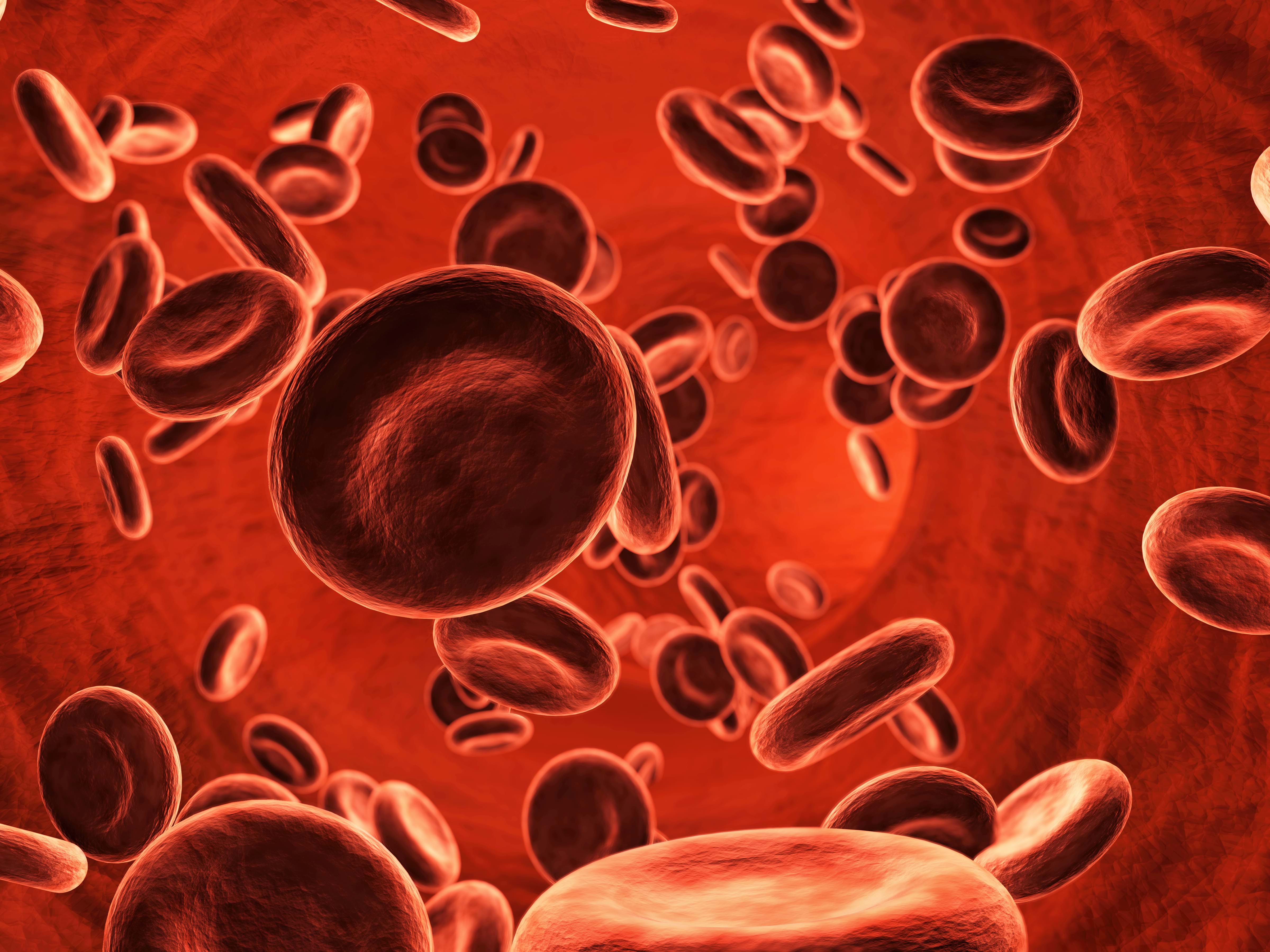 Anemi og anemiutredning med celleteller