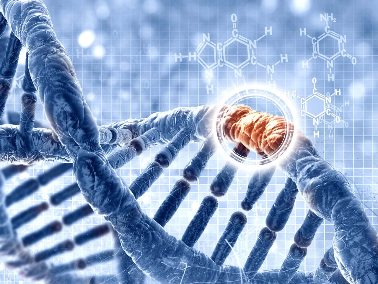 DNA shutterstock_241571827