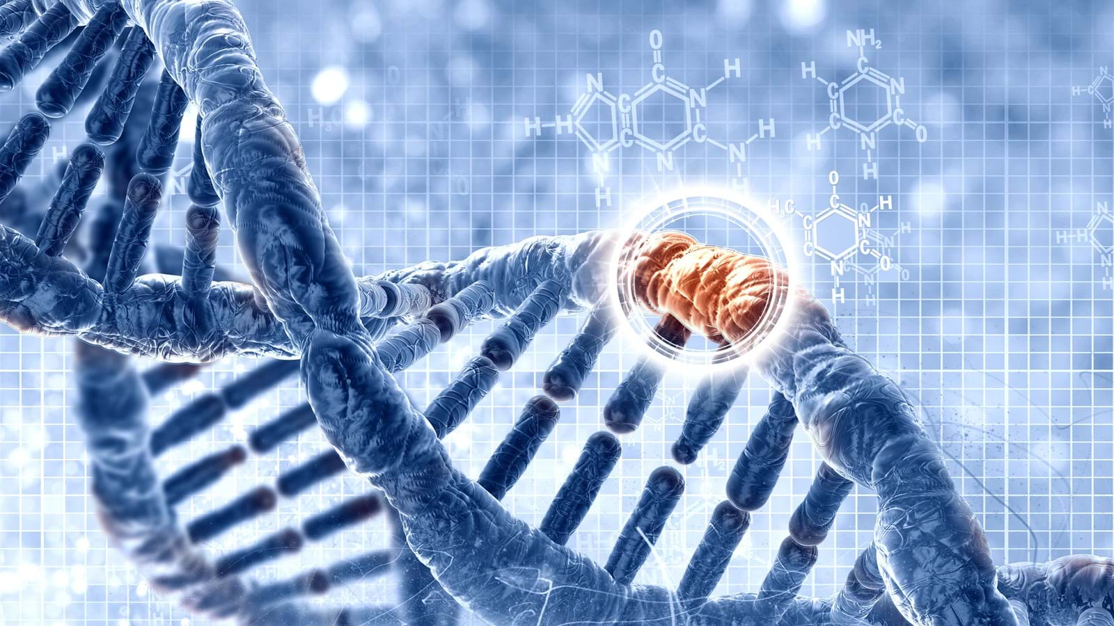 DNA shutterstock_241571827