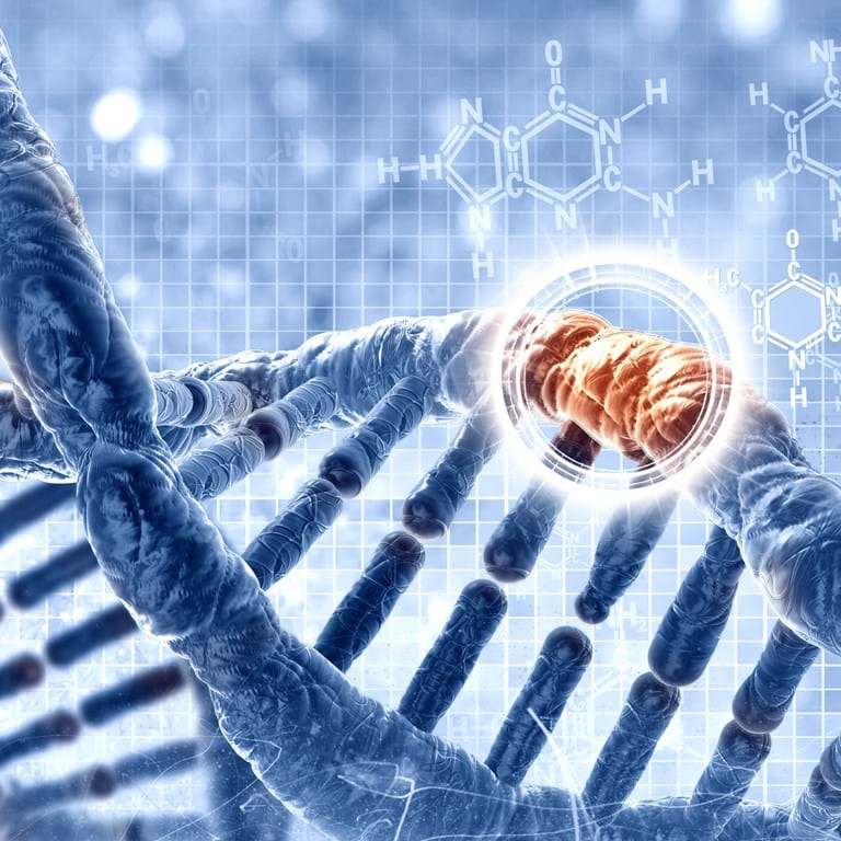 DNA shutterstock_241571827