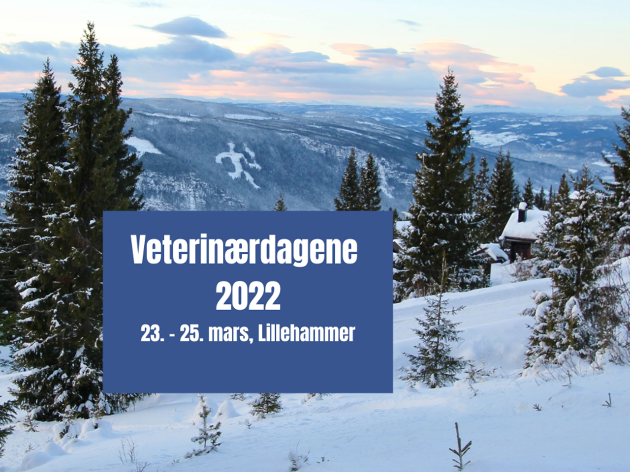 Veterinærdagene - Utstilling - Scandic Hotel Lillehammer