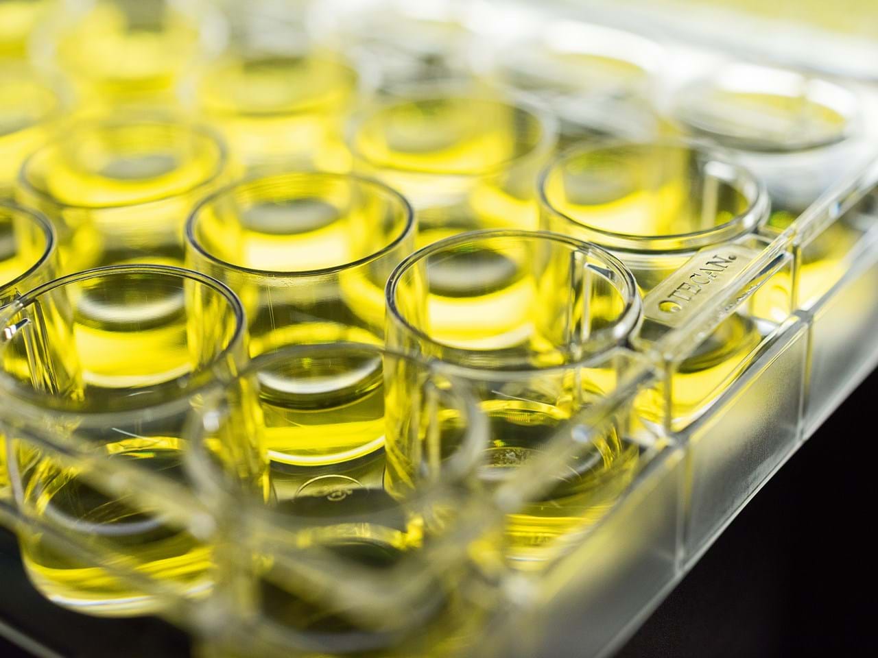 Tec006875 Cell Culture Plates