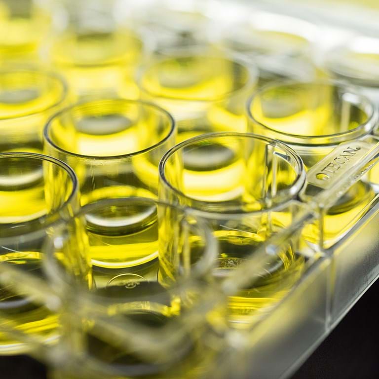 Tec006875 Cell Culture Plates