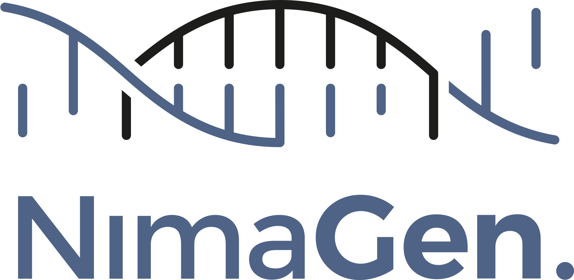 1 High Res Nimagen Logo Colored Without Payoff