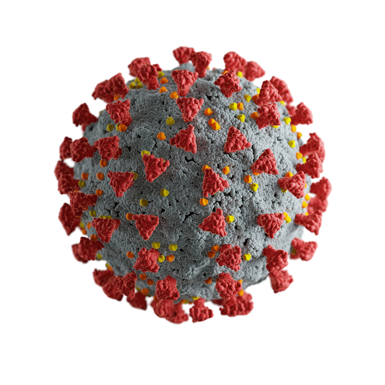 IMAGE Virus