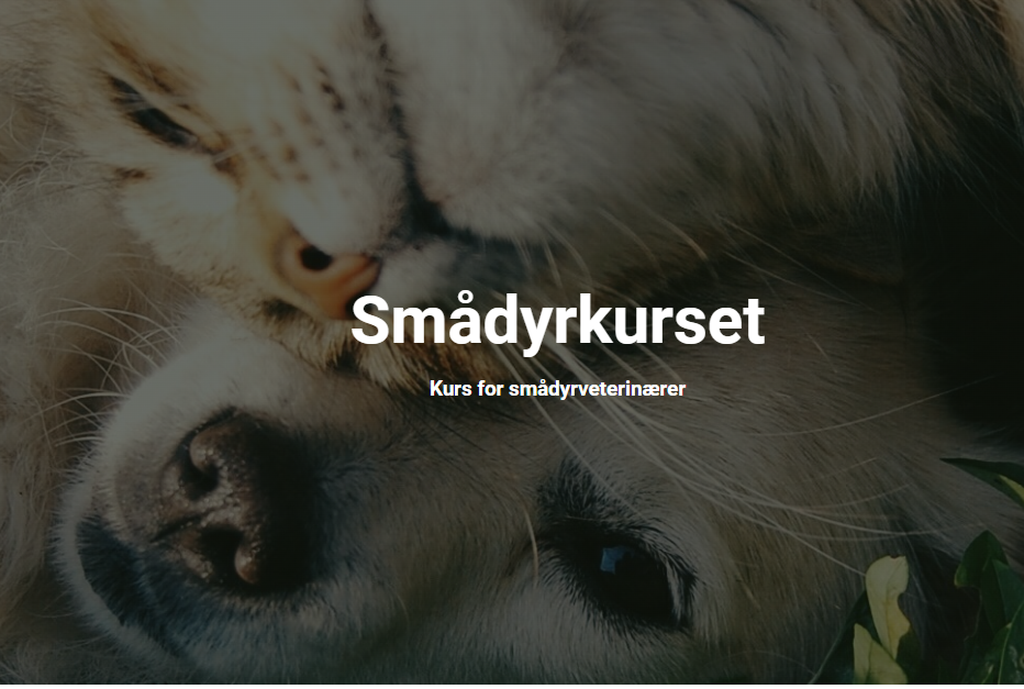 Vestenfjeldske Smådyrkurset 2025 