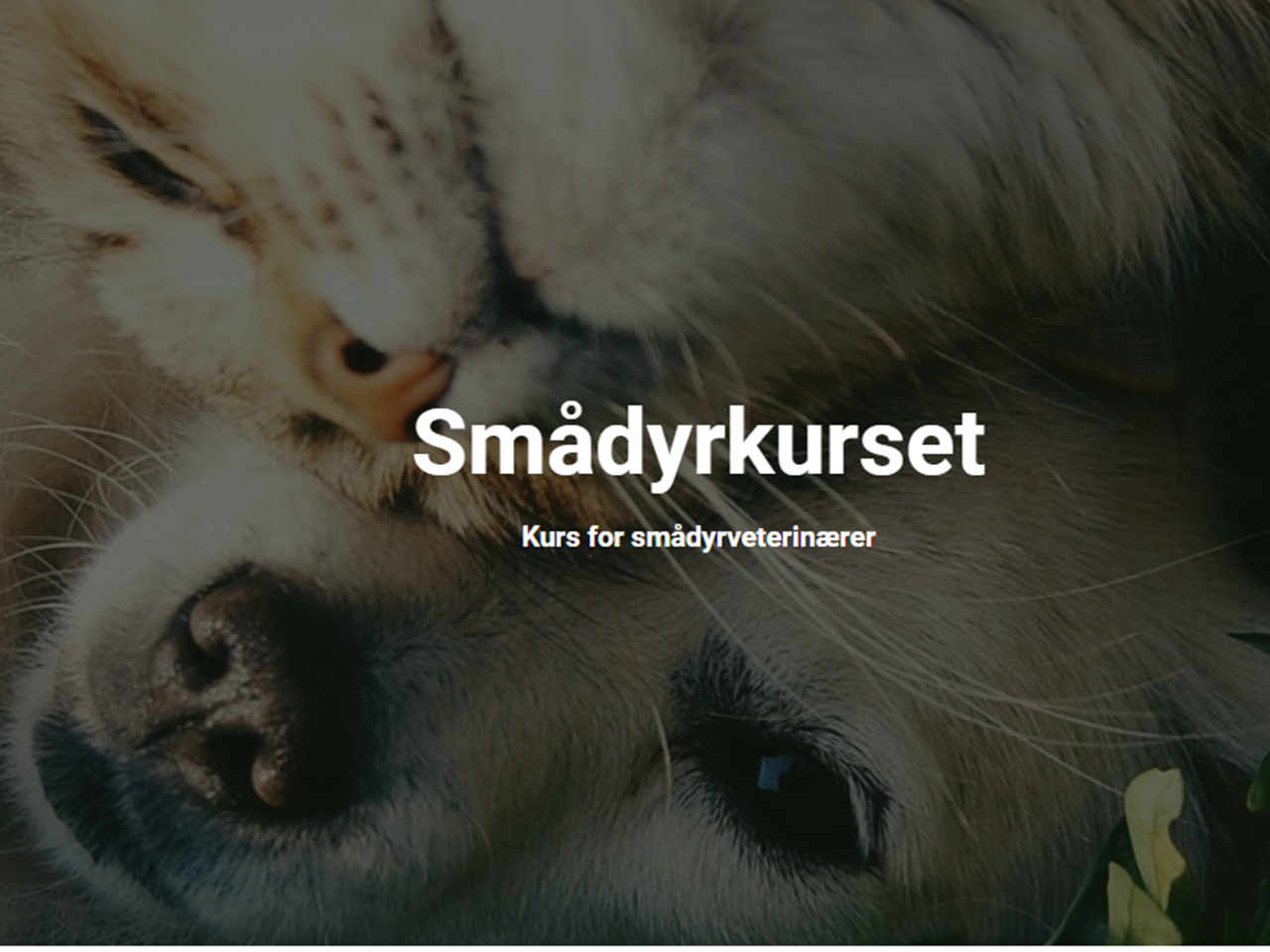Vestenfjeldske Smådyrkurset 2025