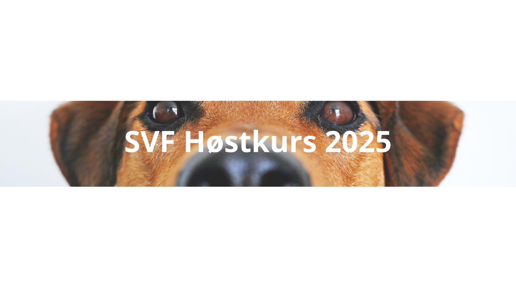SVF Høstkurs 2025 