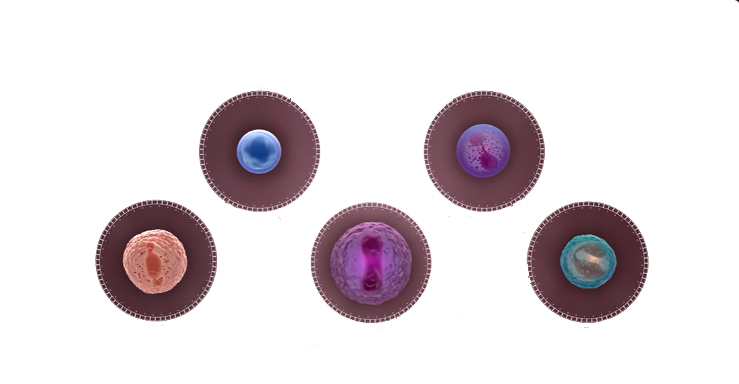 Bilde uten beskrivelse